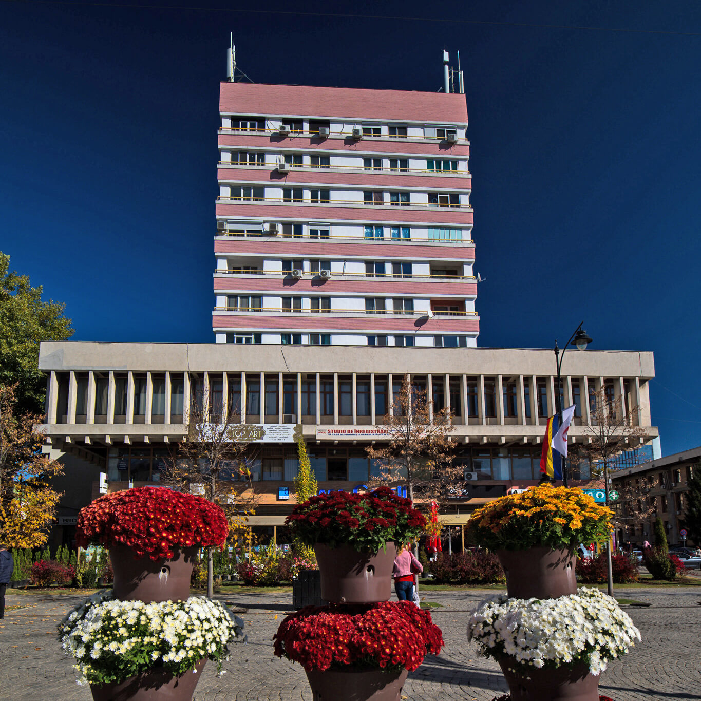 Casa Cărții