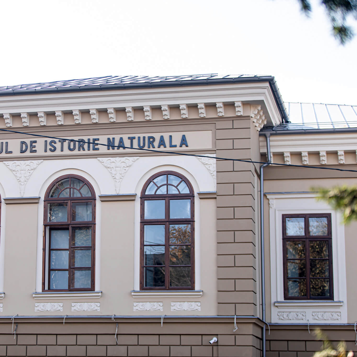 Muzeul de Istorie Naturală 