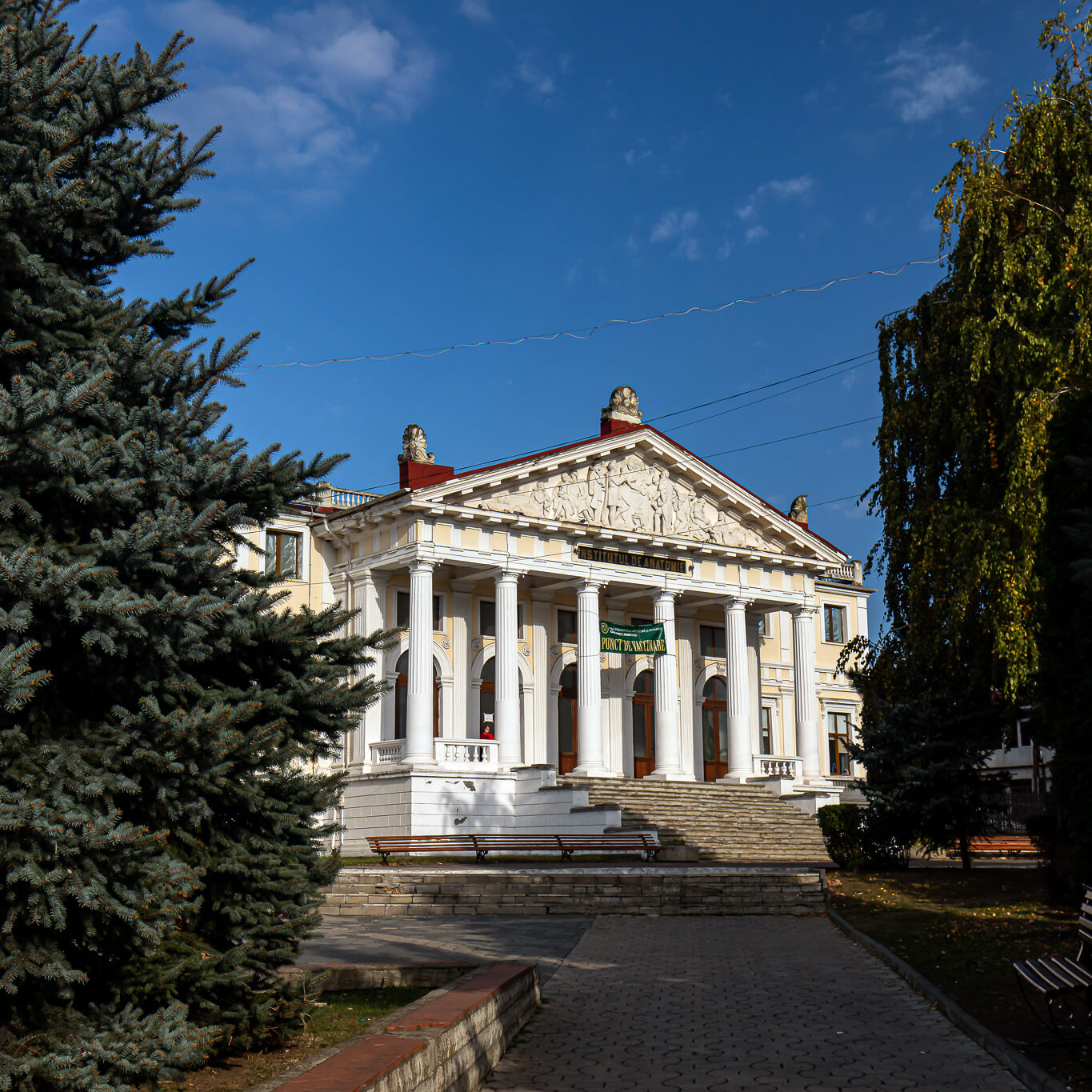 Universitatea de Medicină şi Farmacie „Grigore T. Popa”