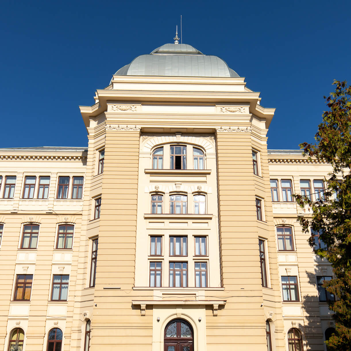 Universitatea „Alexandru Ioan Cuza” 