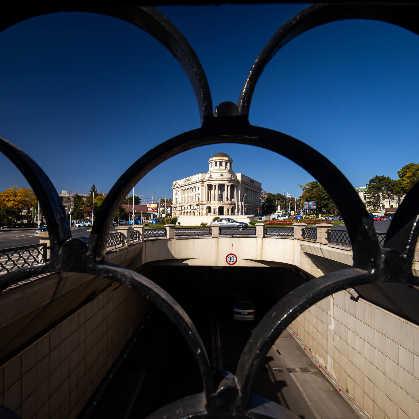 Biblioteca Centrală Universitară „Mihai Eminescu” (Fundațiunea „Regele Ferdinand I”)